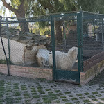 Photo n°5 de l'avis de Konrad. fait le 01/05/2024 à 22:43 sur le  Agriturismo Valle dei Margi Srl à Grammichele