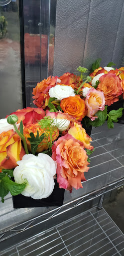 Florist «Holliday Flowers & Events Inc», reviews and photos, 1149 Union Ave, Memphis, TN 38104, USA