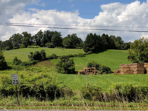 Nature Preserve «White Clay Creek Preserve», reviews and photos, 404 Sharpless Rd, Landenberg, PA 19350, USA