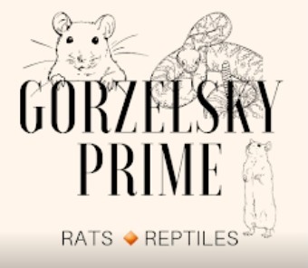 Gorzelsky Prime