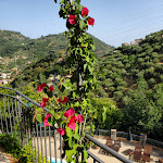 Photo n°3 de l'avis de Claudio.y fait le 27/06/2022 à 09:18 sur le  Turismo Rurale Borgo San Francesco à Gioiosa Marea