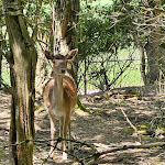 Photo n°7 de l'avis de Björn.b fait le 11/06/2023 à 16:33 sur le  Tier-Erlebnispark Bell à Bell