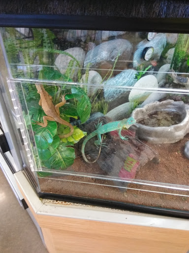 Pet Supply Store «Petco Animal Supplies», reviews and photos, 1290 S Amity Rd, Conway, AR 72032, USA