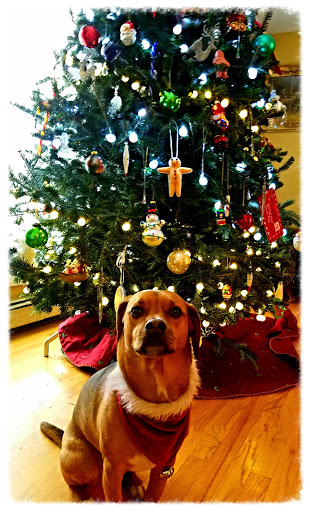 Coffee Shop «Starbucks», reviews and photos, 38 Danbury Rd, New Milford, CT 06776, USA