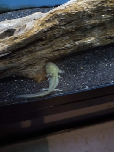 Pet Store «The Pet Works», reviews and photos, 407 4th Ave E, Olympia, WA 98501, USA