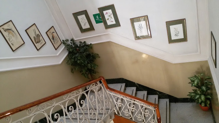 Photos des visiteurs hôtels Hotel Ely 55049 Viareggio