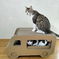 ねこだんぼ