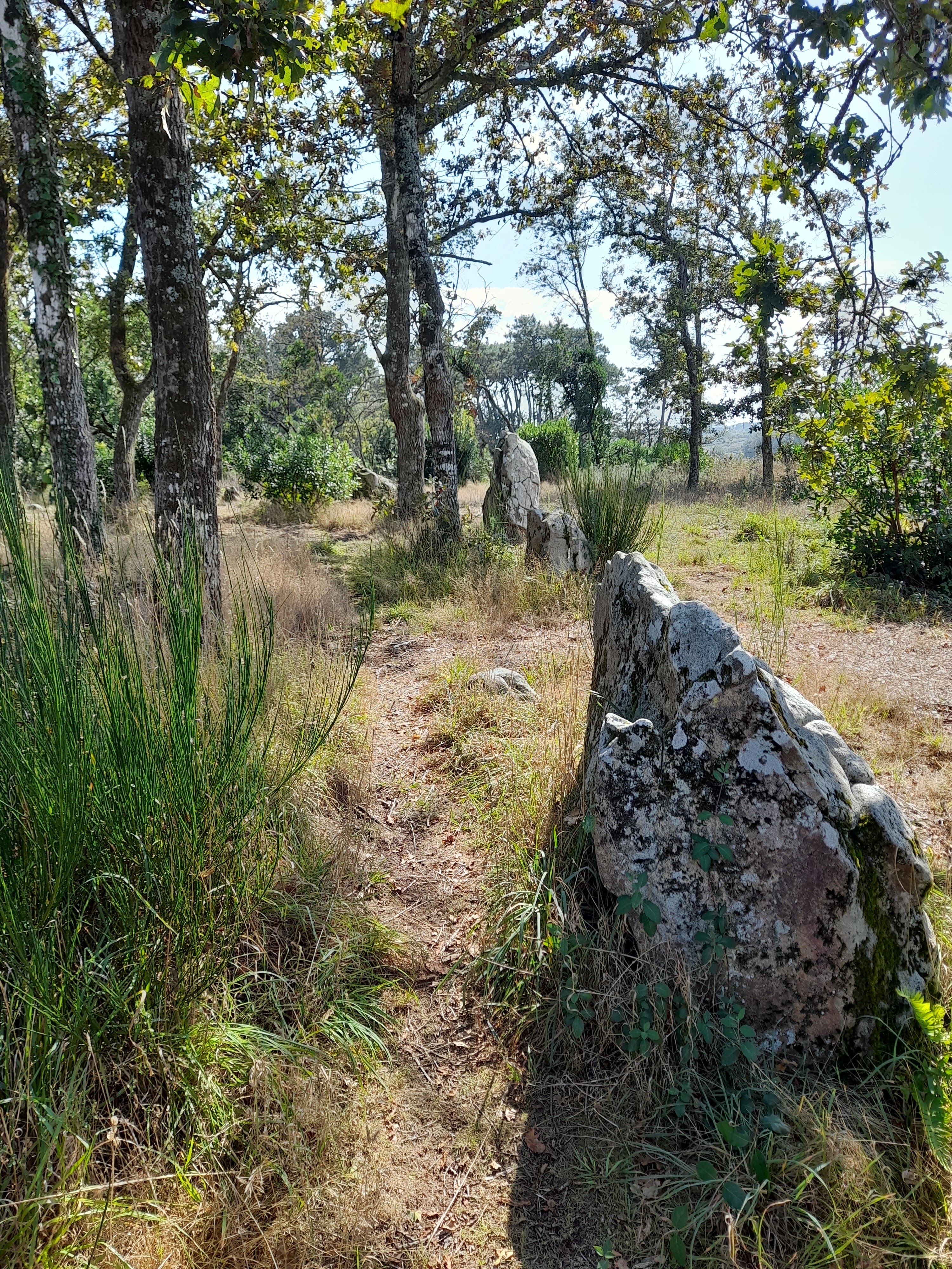 Photo n° 2 de l'avis de Pierre.S fait le 18/09/2023 à 17:13