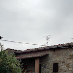 Photo n°1 de l'avis de Maurizio.' fait le 15/10/2019 à 06:37 sur le  Enoteca / Osteria La Bottega di Duddova à Duddova