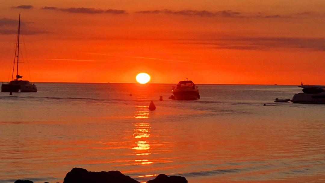 Photo n° 4 de l'avis de Joel.r fait le 14/05/2021 à 07:14