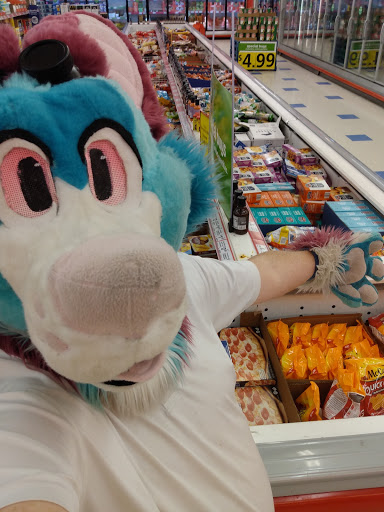 Grocery Store «Save-A-Lot», reviews and photos, 1926 E Silver Springs Blvd, Ocala, FL 34470, USA