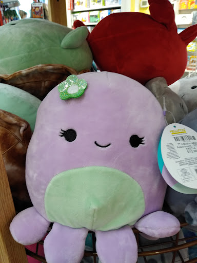 Toy Store «Island Treasure Toys», reviews and photos, 20 Bow St, Freeport, ME 04032, USA