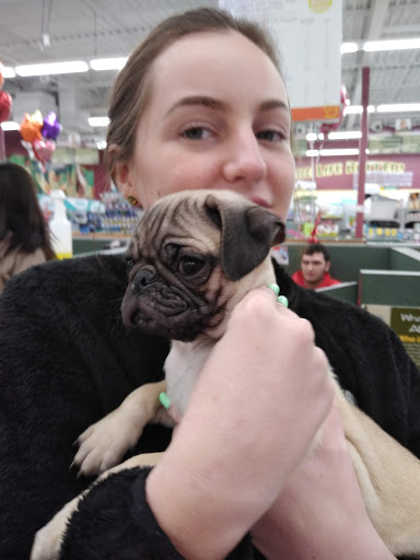 Pet Store «Petland», reviews and photos, 351 Diederich Blvd, Ashland, KY 41101, USA