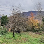 Photo n°8 de l'avis de Paolo.a fait le 26/11/2018 à 23:13 sur le  La Capannina di Cassettari Maria Gemma à Roggio