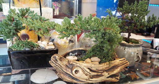 Florist «Bloomshop», reviews and photos, 6531 W Farm to Market Rd 78, San Antonio, TX 78244, USA