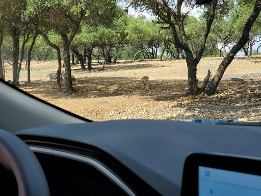 Zoo «The Exotic Resort Zoo», reviews and photos, 235 Zoo Trail, Johnson City, TX 78636, USA