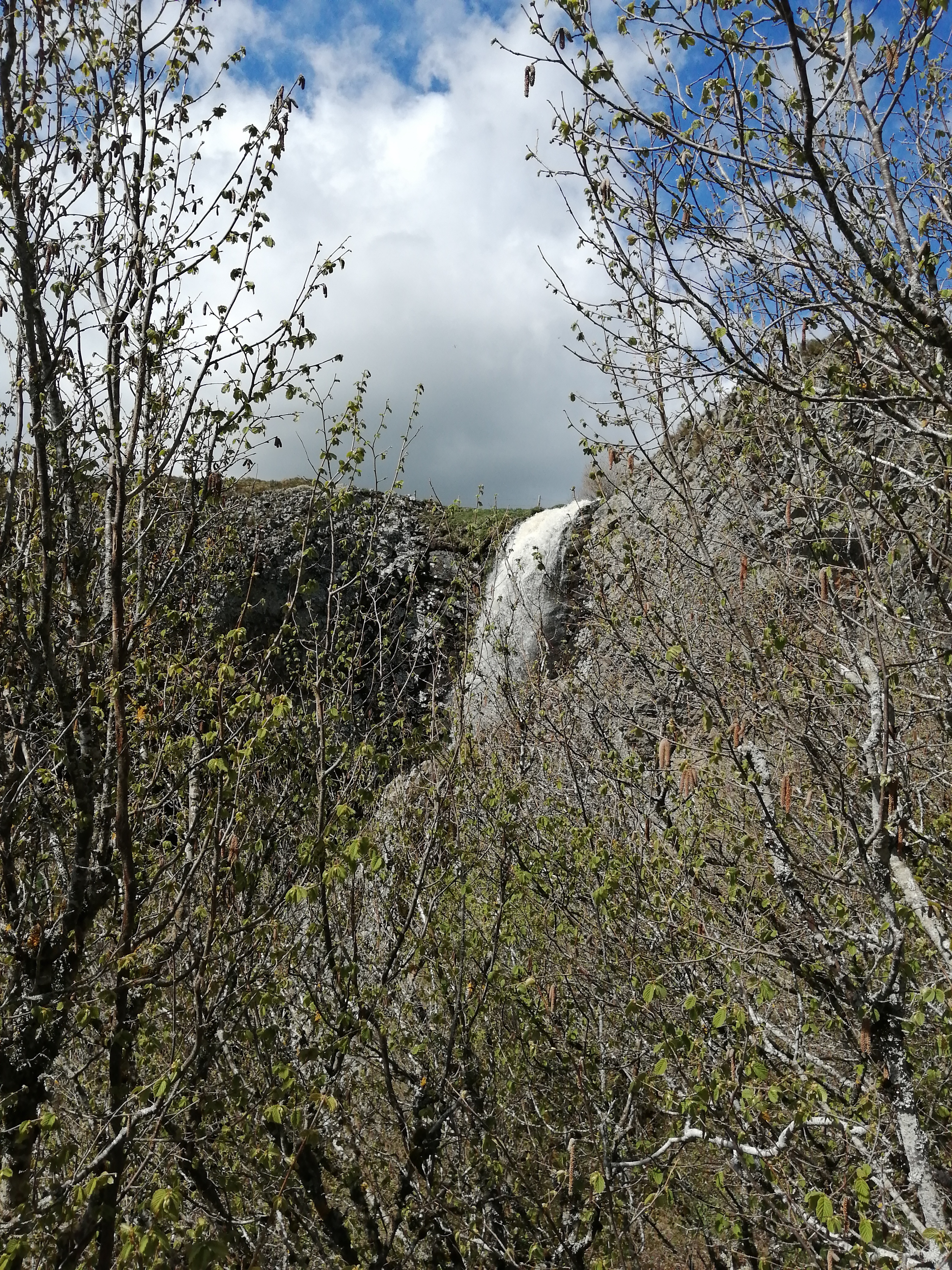Photo n° 3 de l'avis de Félix.a fait le 02/05/2023 à 14:50
