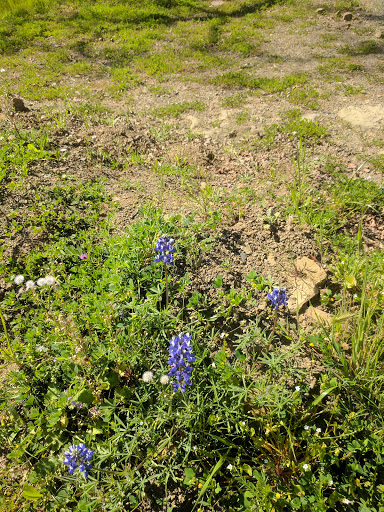 Nature Preserve «UC Davis - Stebbins Cold Canyon Natural Reserve», reviews and photos, CA-128, Winters, CA 95694, USA