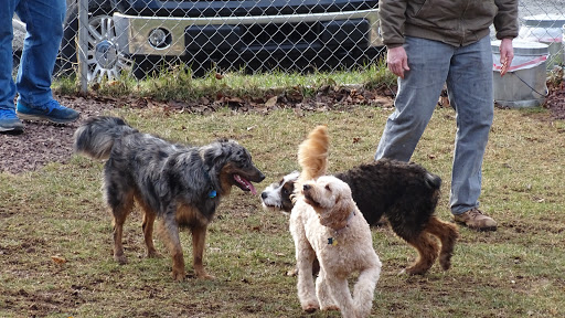 Dog Trainer «Awesome Dawgs Dog Training LLC», reviews and photos, 3052 Pricetown Rd, Temple, PA 19560, USA