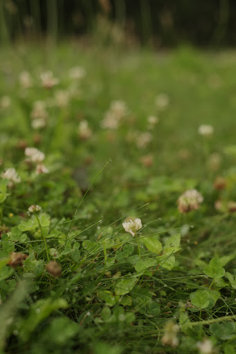 Playground «Varney Playground», reviews and photos, 45 Varney Ave, North Chelmsford, MA 01863, USA