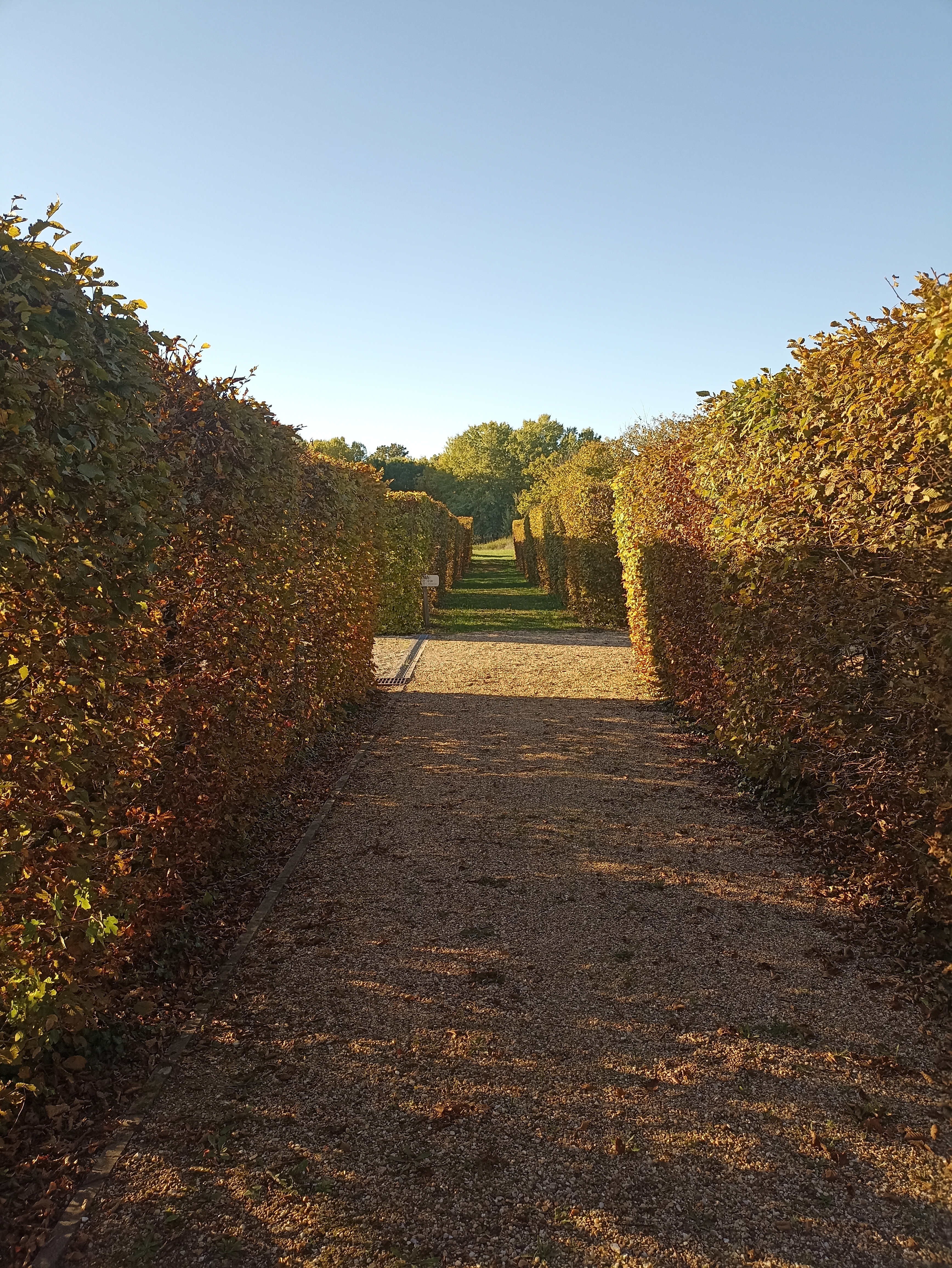 Photo n° 5 de l'avis de Ivan.o fait le 09/10/2022 à 19:02
