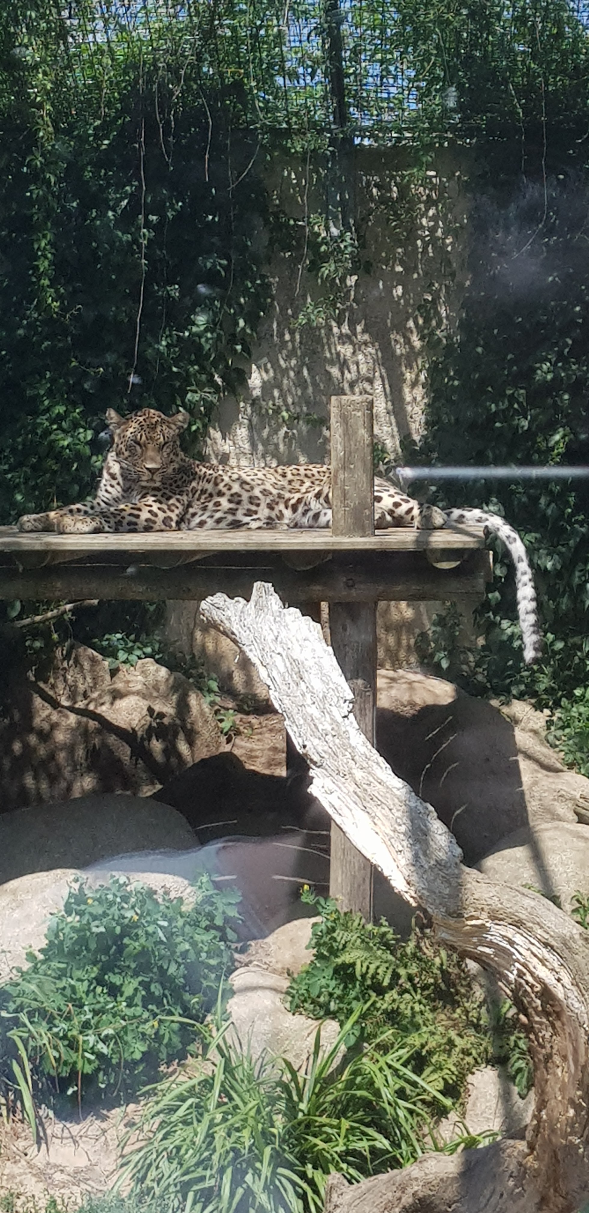 Photo n° 4 de l'avis de Laetitia.u fait le 03/08/2019 à 09:58