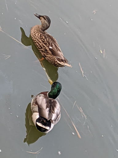 Golf Course «Waters Edge Mini Golf», reviews and photos, 230 N Ronks Rd, Bird in Hand, PA 17505, USA