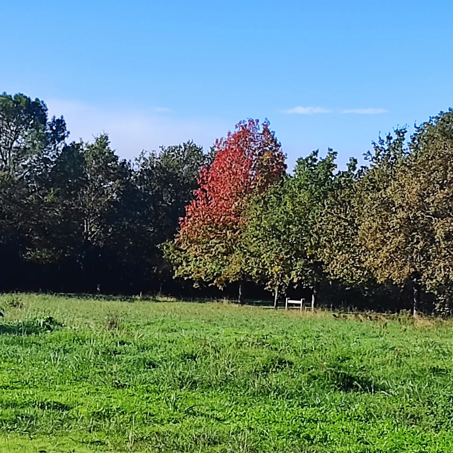 Photo n° 2 de l'avis de Núria.a fait le 13/11/2022 à 13:51