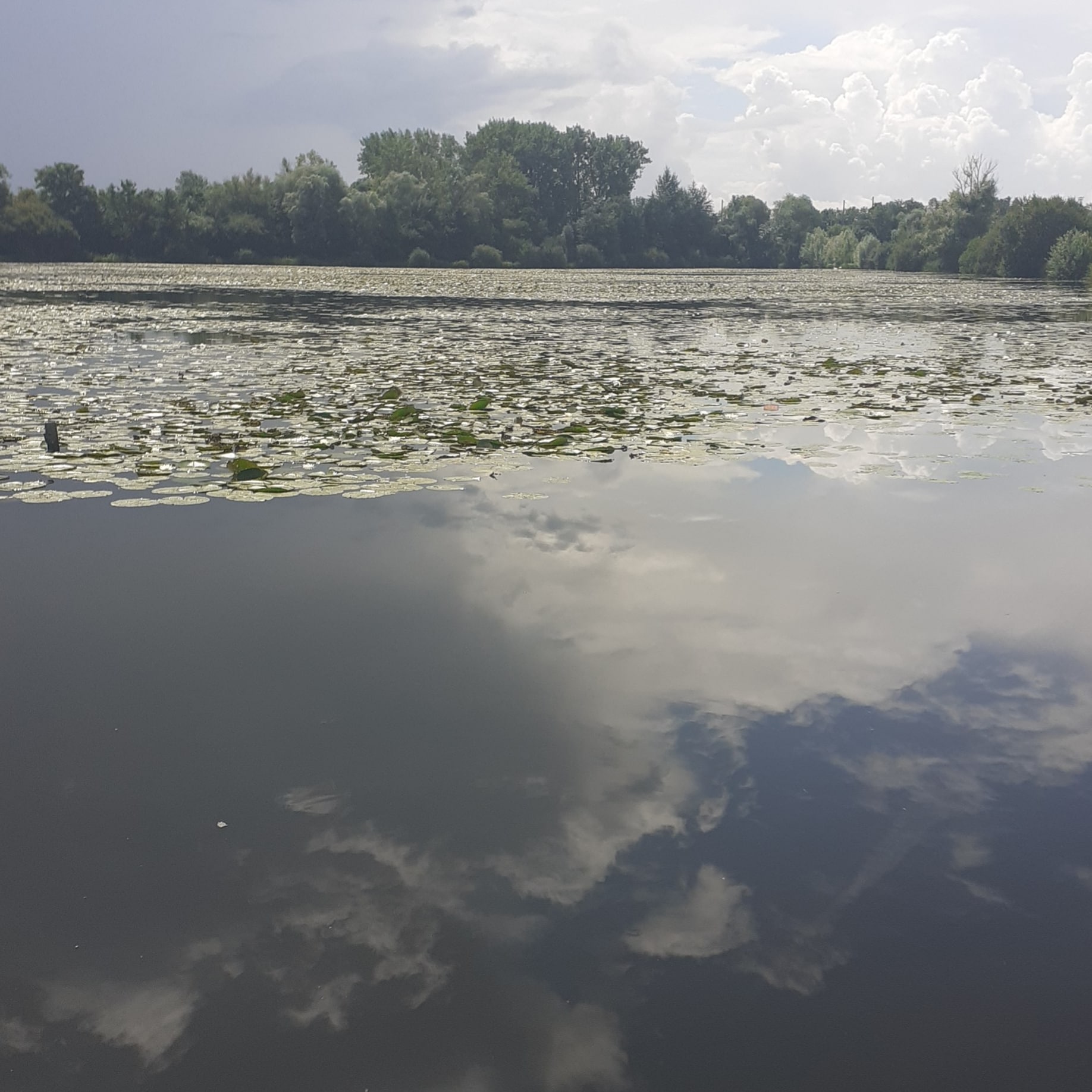 Photo n° 2 de l'avis de Domi.e fait le 27/07/2021 à 18:07