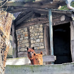 Photo n°5 de l'avis de Brigitte.t fait le 01/04/2024 à 18:27 sur le  Augustusgabe à Barby