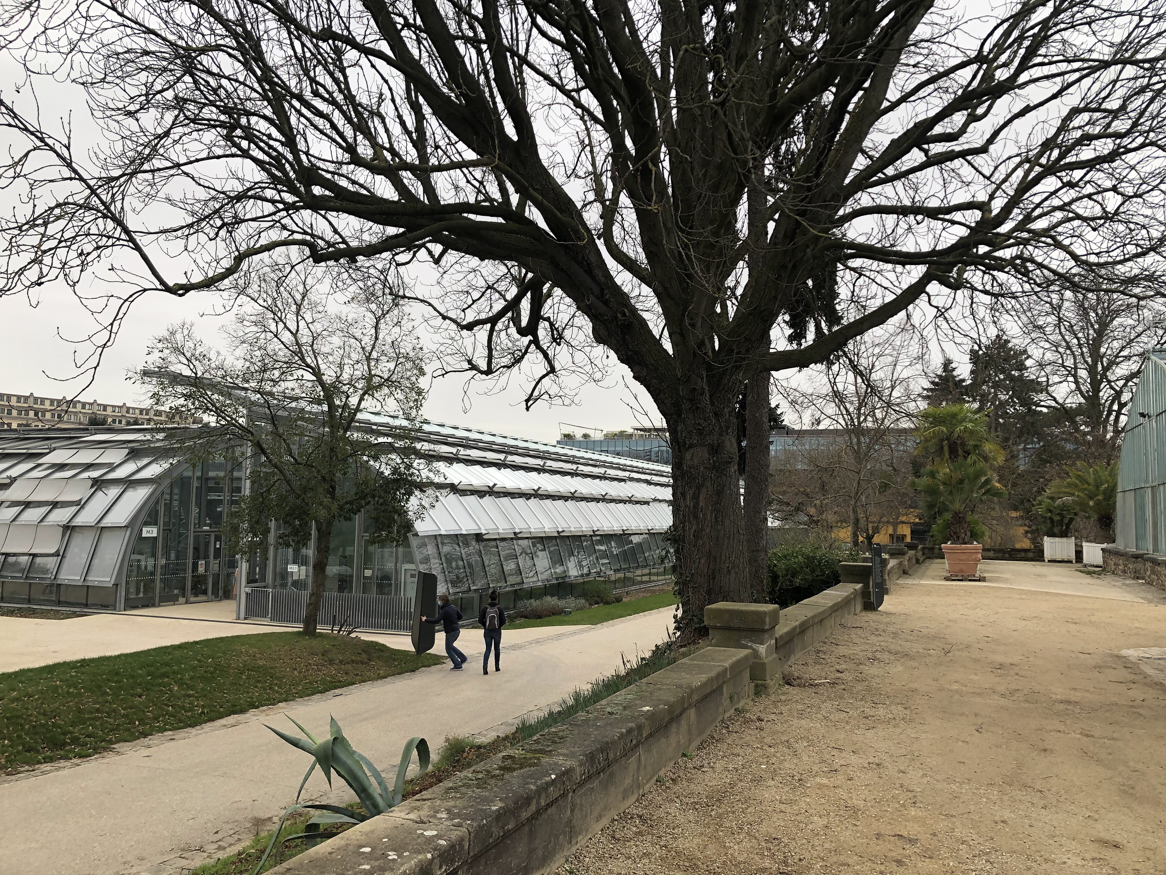 Photo n° 38 de l'avis de Halim.o fait le 22/02/2021 à 13:44