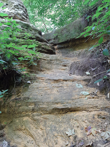Nature Preserve «Jug Rock Nature Preserve», reviews and photos, Albright Ln, Shoals, IN 47581, USA