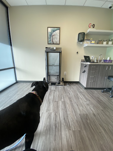 Northside Animal Hospital image