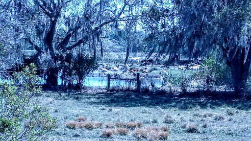 Tourist Attraction «Forever Florida», reviews and photos, 4755 North Kenansville Road, St Cloud, FL 34773, USA