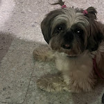 Photo n°6 de l'avis de Barbara.a fait le 24/08/2023 à 00:00 sur le  Frontemare Hotel Village & Spa | Gargano à Rodi Garganico