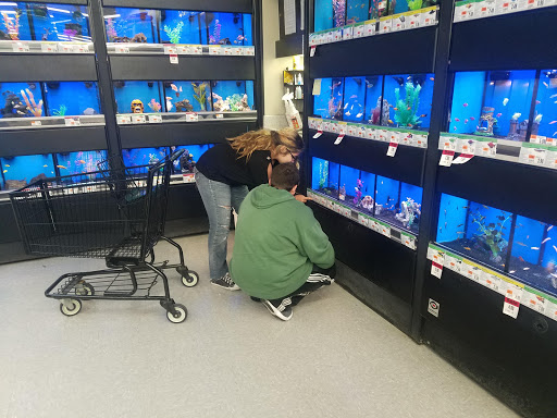 Pet Supply Store «Pet Supplies Plus», reviews and photos, 971 S Lapeer Rd, Oxford, MI 48371, USA