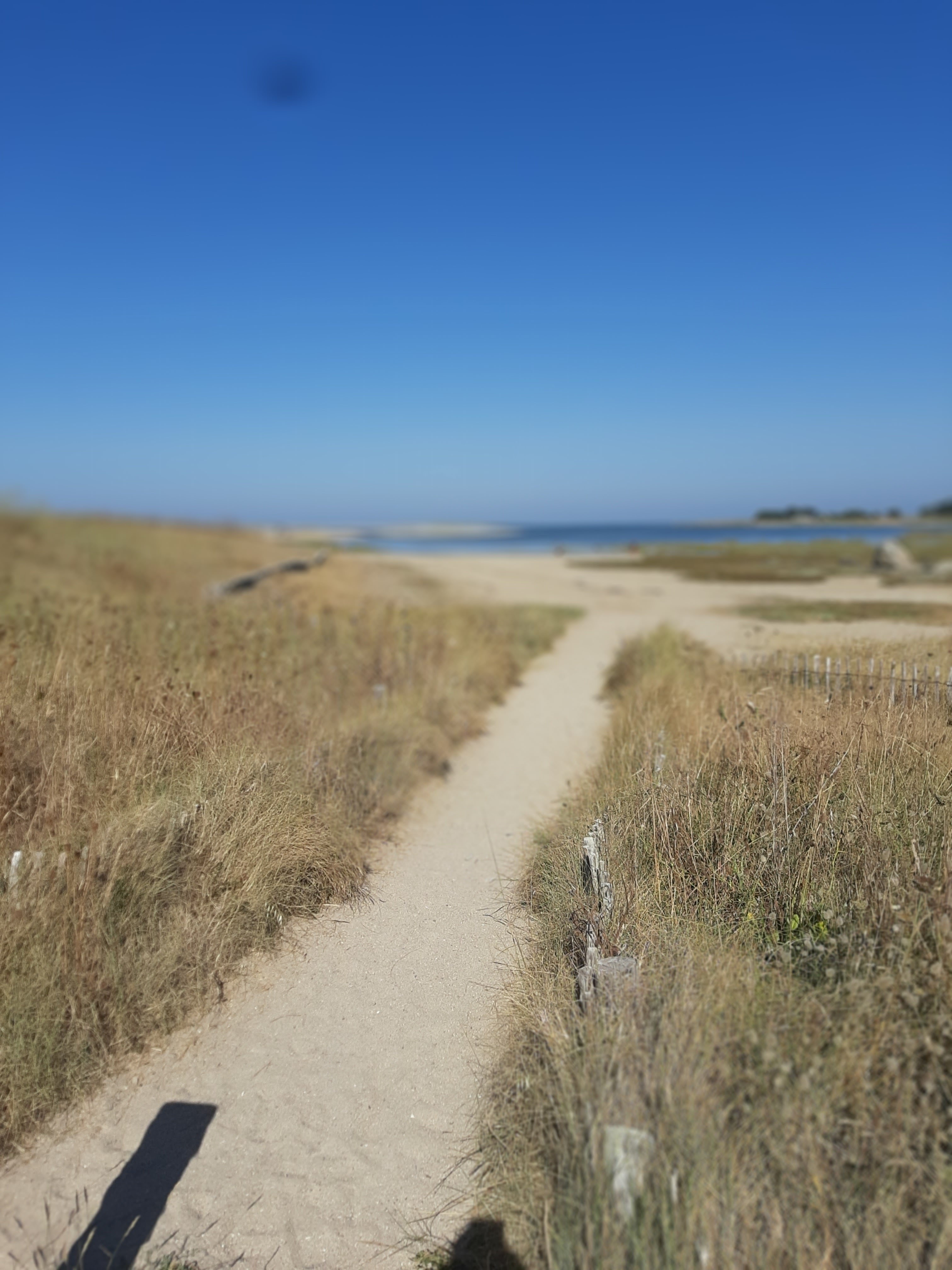 Photo n° 3 de l'avis de JM. fait le 10/08/2022 à 17:31