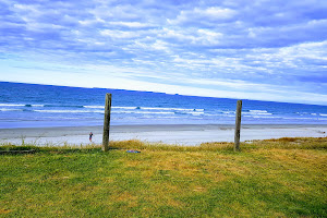 Papamoa Coastal Reserve