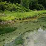 Photo n°2 de l'avis de VAIA. fait le 14/07/2019 à 13:58 sur le  Wimsener Höhle (Tress Gastronomie GmbH & Co. KG) à Hayingen