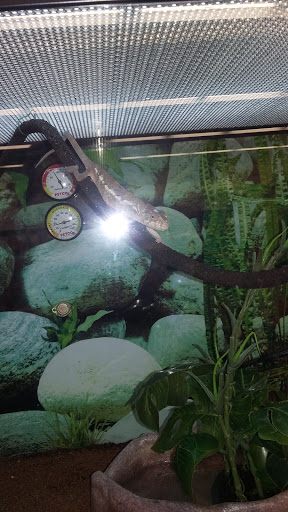 Pet Supply Store «Petco Animal Supplies», reviews and photos, 2714 Mountaineer Blvd, Charleston, WV 25309, USA