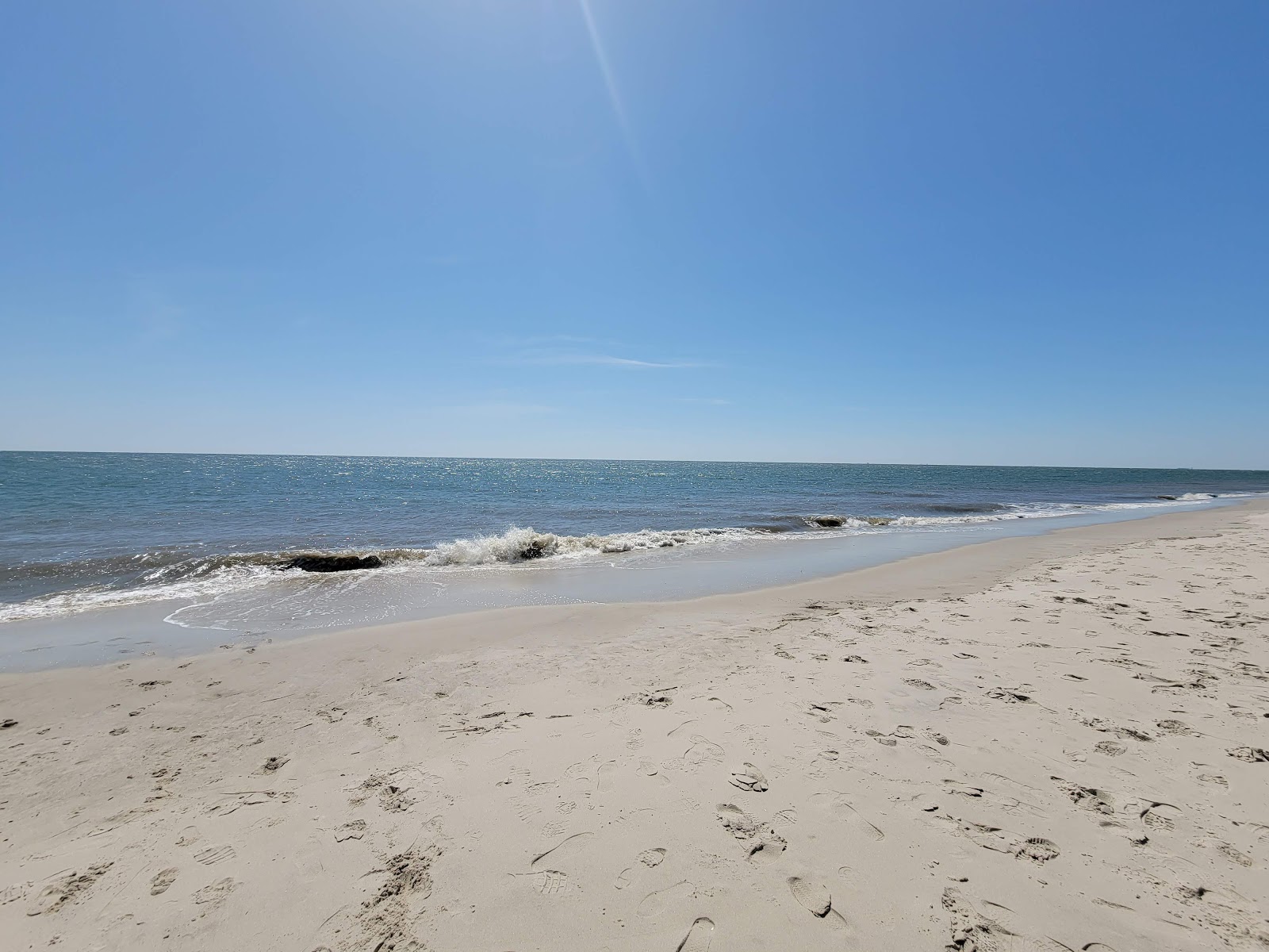 Zdjęcie Cape May Beach dziki obszar