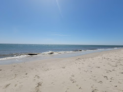 Cape May Beach'in fotoğrafı vahşi alan