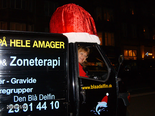 Den Blå Delfin in København S, København