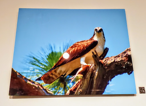 Art Museum «The Florida Museum of Photographic Arts», reviews and photos, 400 N Ashley Dr, Tampa, FL 33602, USA