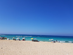 Minaa Alhasheesh Beach'in fotoğrafı geniş bir kıyı şeridi ile birlikte