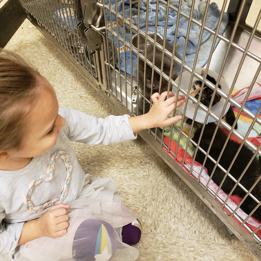 Pet Supply Store «PetSmart», reviews and photos, 2901 Texas Sage Trail, Fort Worth, TX 76177, USA