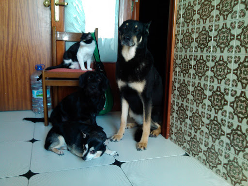 Centro Veterinario Conde de Aranda en Zaragoza