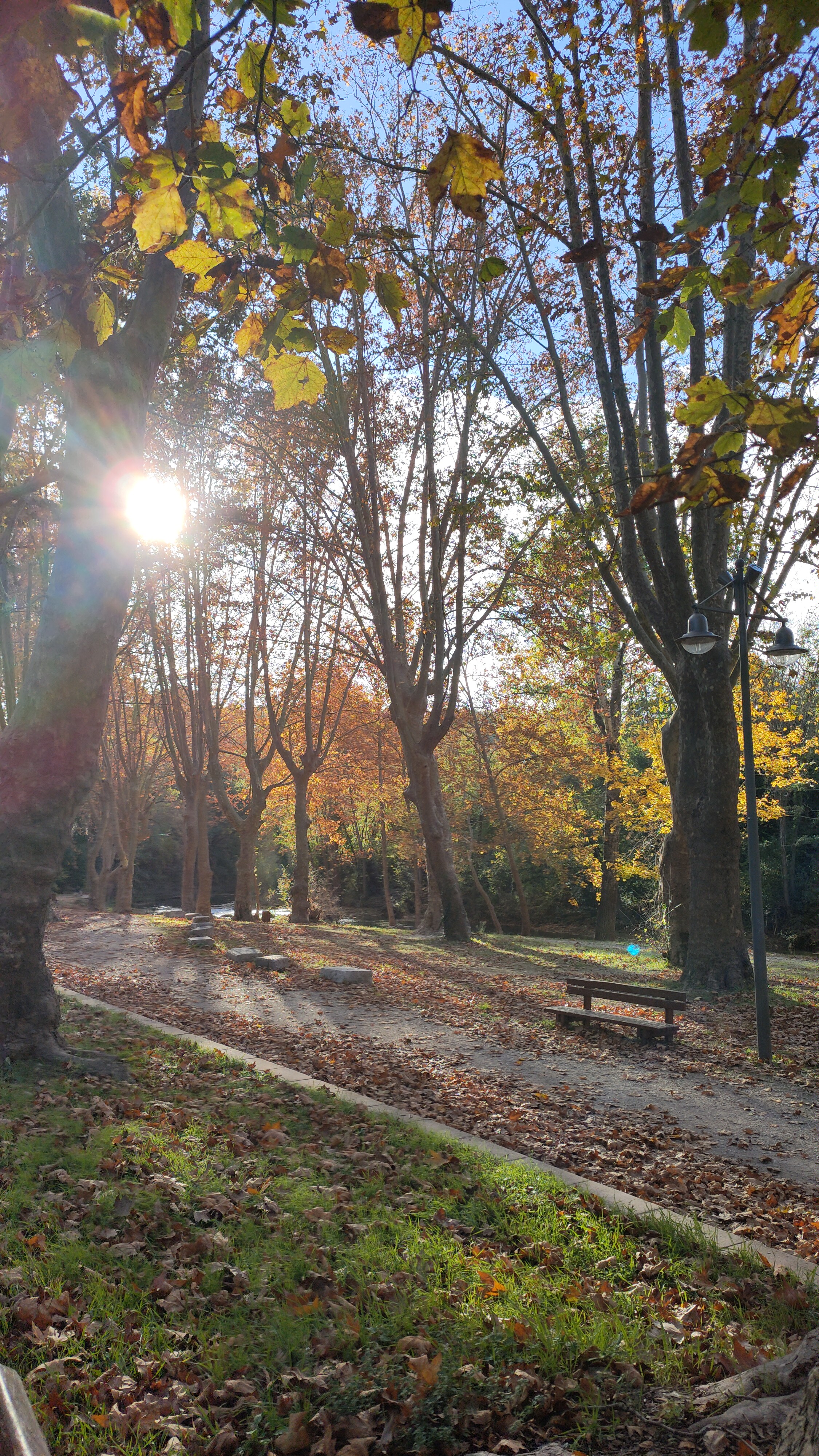 Photo n° 1 de l'avis de Mireille.a fait le 27/10/2020 à 17:47