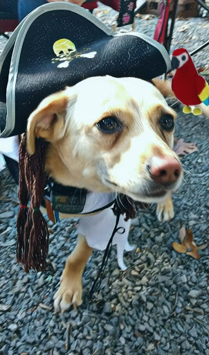 Campground «Saunderosa Park Inc», reviews and photos, 5909 Little Cove Rd, Mercersburg, PA 17236, USA