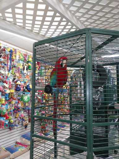 Pet Store «Discount Pet & Supplies», reviews and photos, 16320 Middlebelt Rd, Livonia, MI 48154, USA